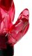 Vibr�tor Twist