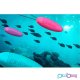 Vibr�tor PicoBong Honi